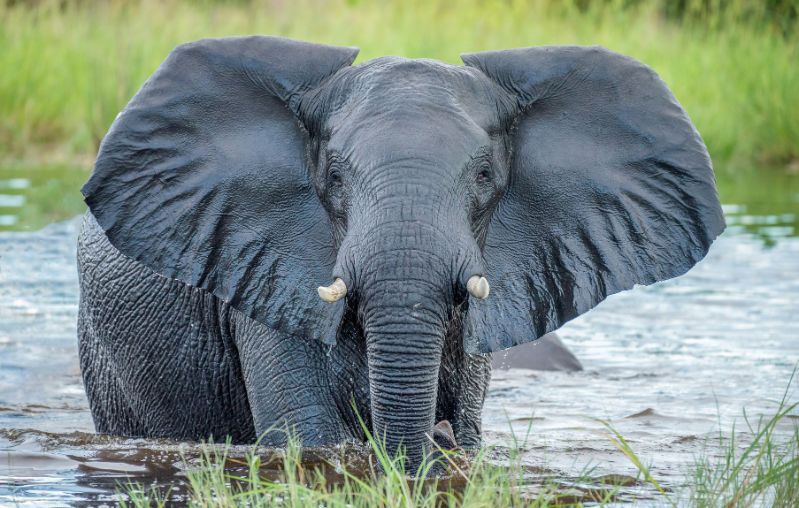 Àfrica Oriental Botswana min