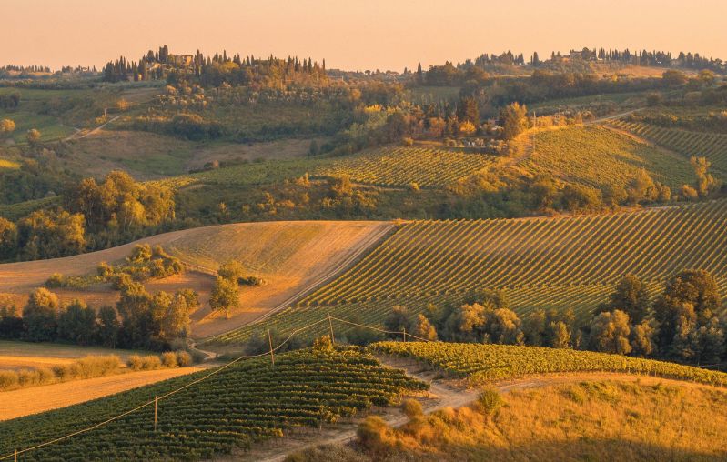 BAJO EL SOL DE LA TOSCANA min