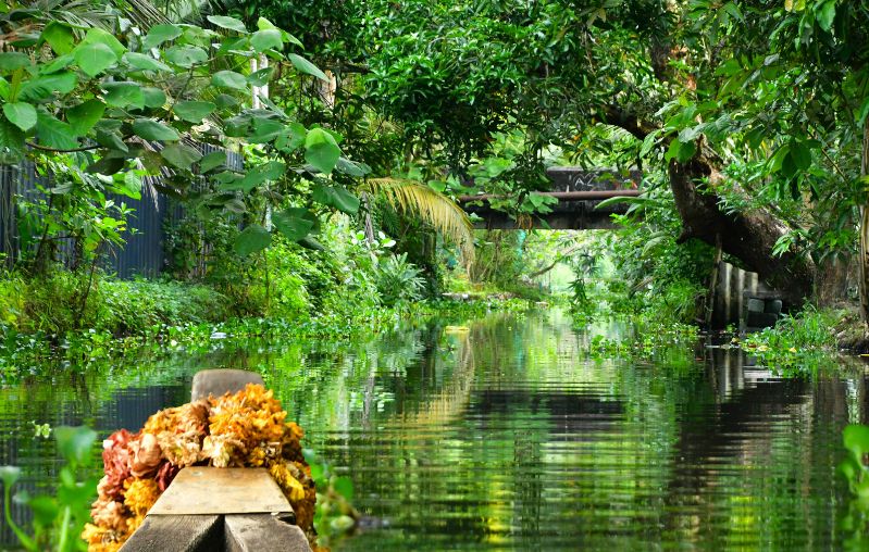 Perles del sud d'Índia min
