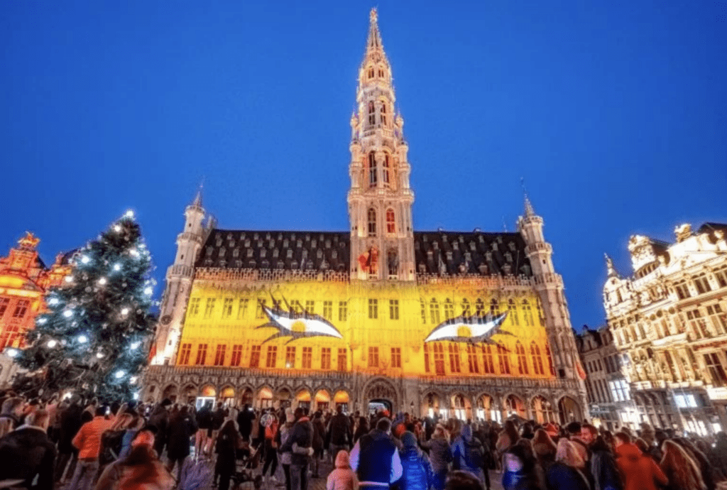 Captura de Pantalla 2024 11 22 a las 14.40.04