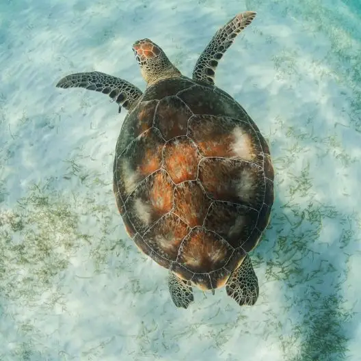 experiències-de-luxe-carib