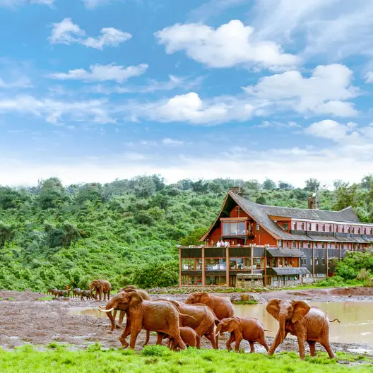 safari en Kenia para mujeres