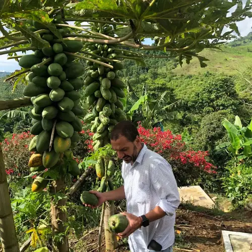 eix cafeter colòmbia