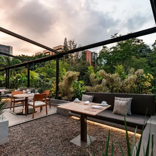 plantació cafè colòmbia