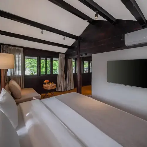 iunnen tot organitzat