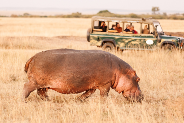 Viaje a Medida a Kenia