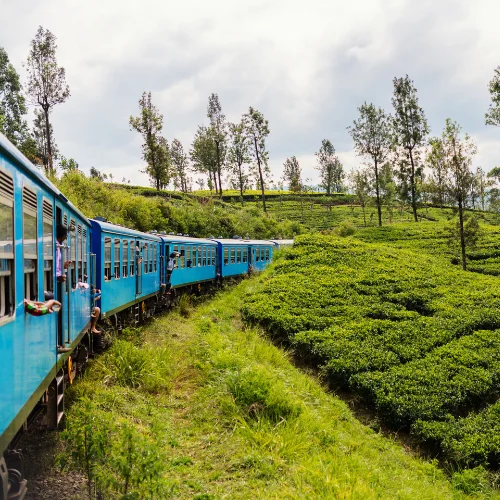tren sri lanka