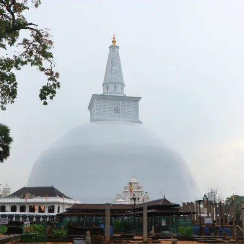 viatjar en grup sri lanka