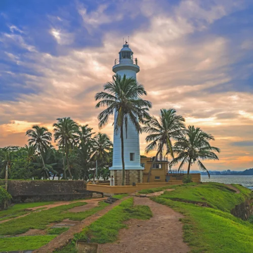 viaje en grupo sri lanka