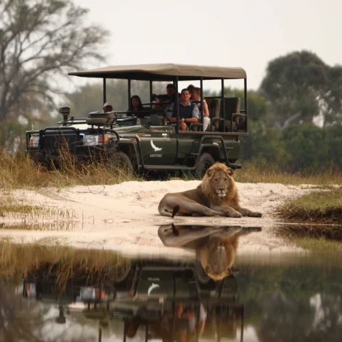 Sandive Okavango (5)