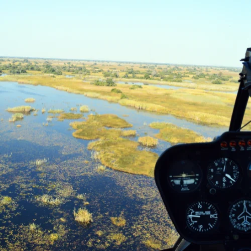 luna de miel safari África