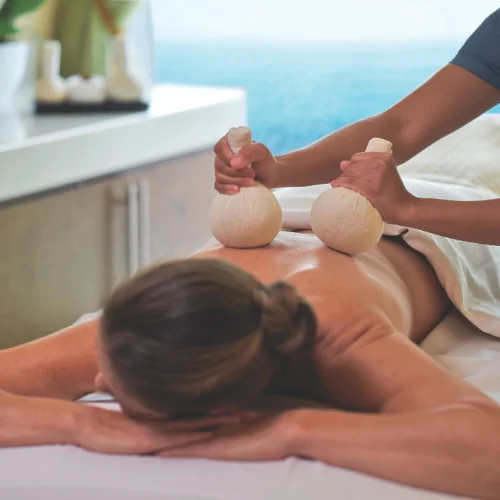 terraza crucero de lujo (15)