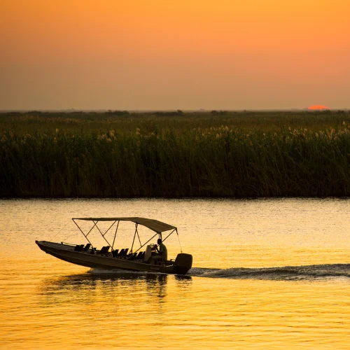 viaje de novios de lujo Botswana