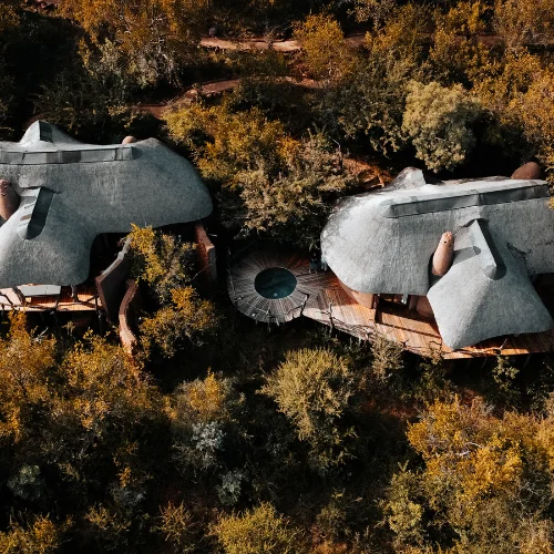 viaje de novios en el Delta del Okavango