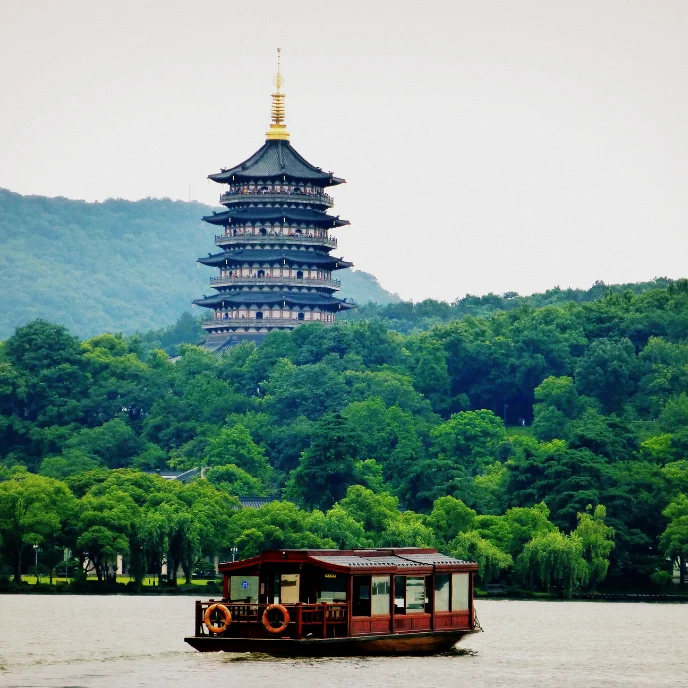 China Oso Panda (10)