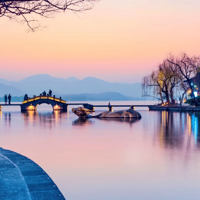 China Oso Panda (11)