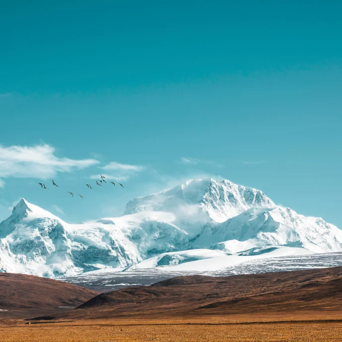 china - exotica (10)