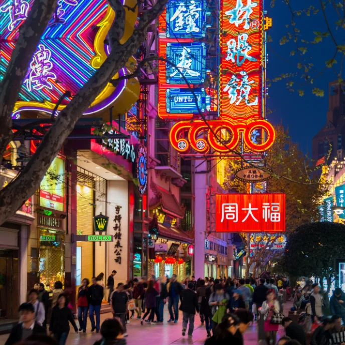 china imprescidible (11)