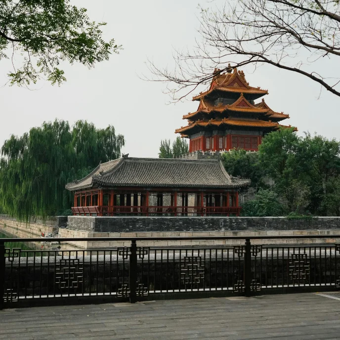 china imprescidible (2)