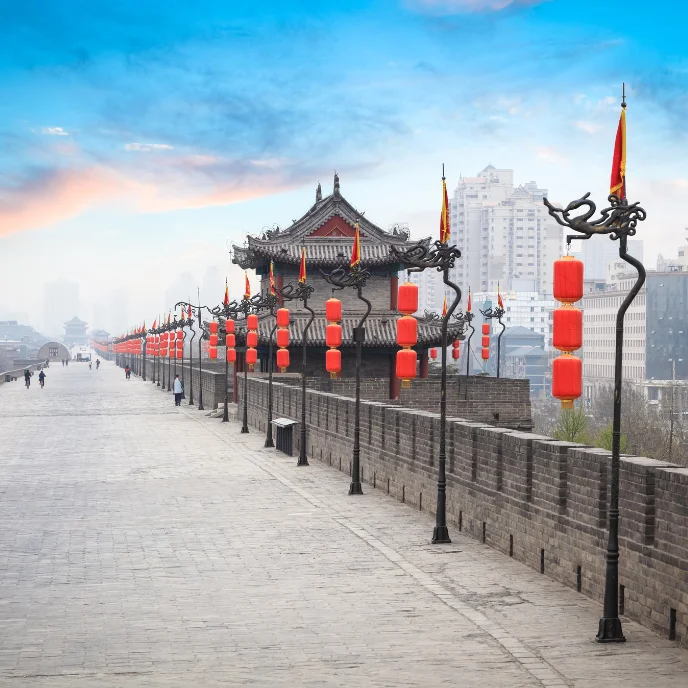 china imprescidible (3)