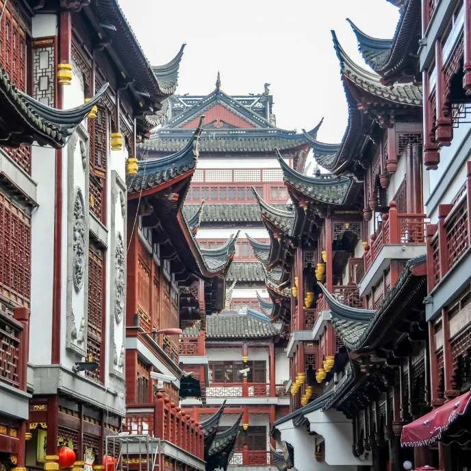 china imprescidible (8)