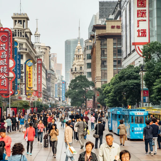 china imprescidible (9)