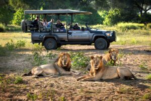 Vila de luxe d'ús exclusiu a l'Àfrica austral amb piscina privada i entorn natural