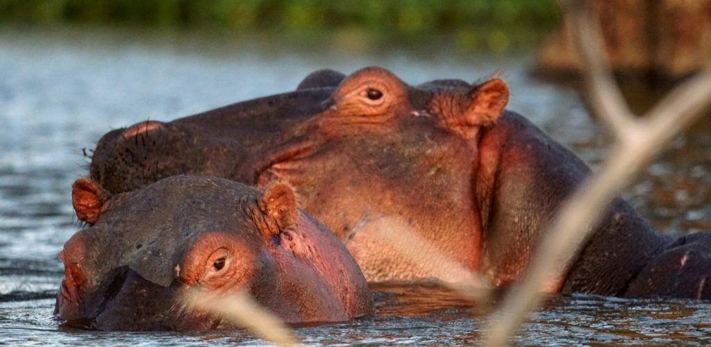 vladan-raznatovic-8mXrl4IYduQ-unsplash1-scaled